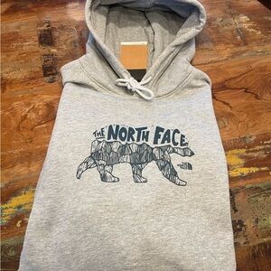 NWT North Face Men’s Hoodie